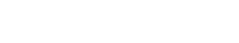 White Ircon-Solaronics logo